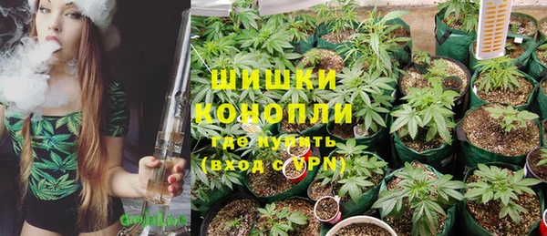 метадон Алексин