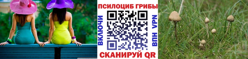 мега   Динская  Галлюциногенные грибы GOLDEN TEACHER 